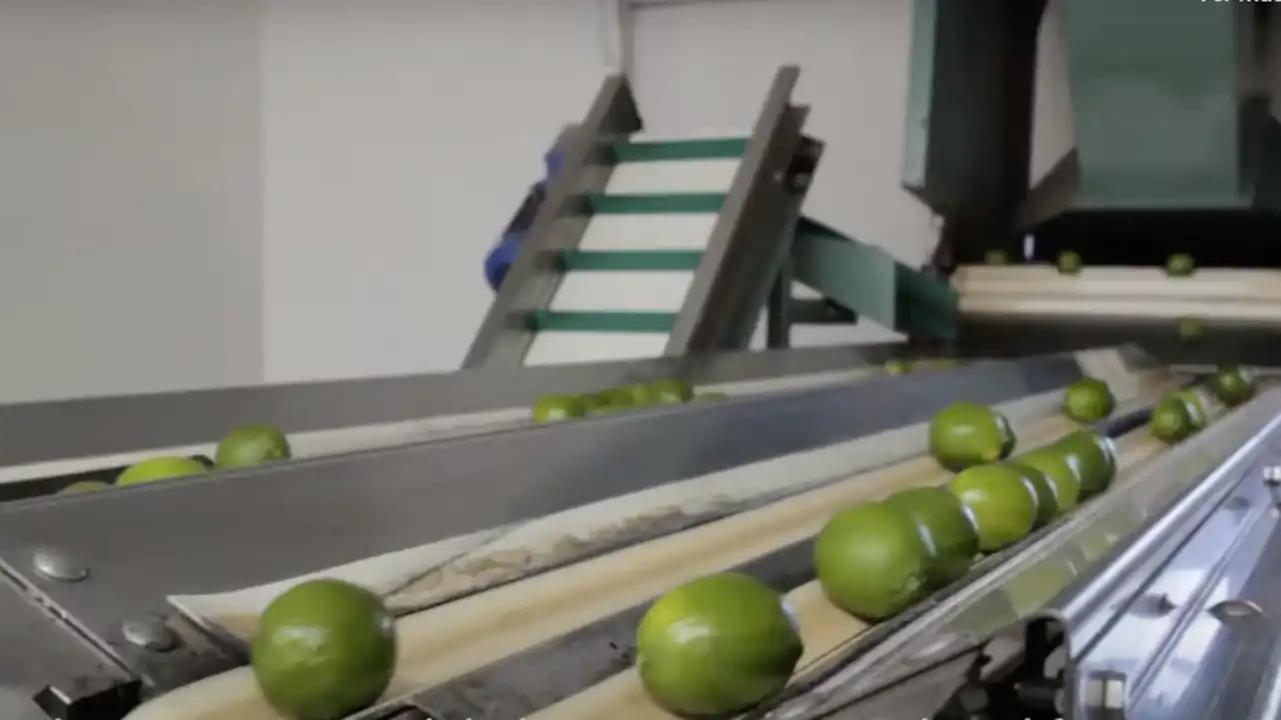 Hasta 20% del costo de agroalimentarios responde a pagos al crimen: productores