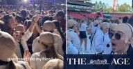 Sea of bald caps in honour of Pitbull