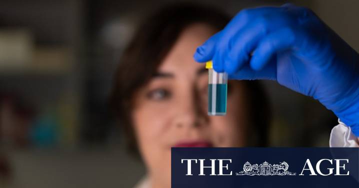 PFAS exposure: Australian study finds forever chemicals disrupt hormones and sperm counts in mice