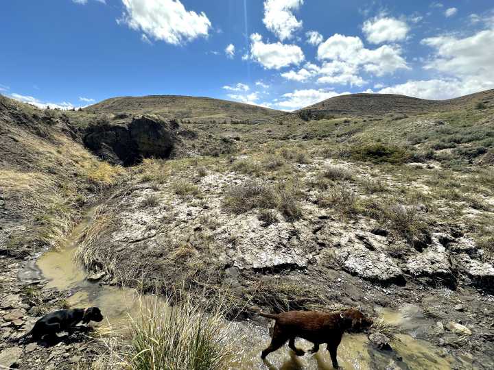Wyoming finalizes State Shooting Complex lease without formal environmental review or wildlife stipulations