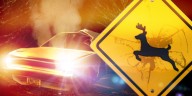 Two injured in vehicle vs. deer crash in Grant County