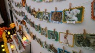 ¿Tú también recuerdas a tu perrito hoy? Culiacán celebra el Día de Muertos de las Mascotas