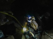 Torrential rains collapse Venezuelan gold mine killing 14
