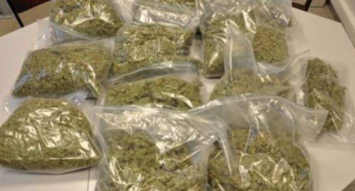 Koraput police crack down on ganja trade, nab five traffickers