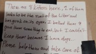 Rescuer In California Is Shocked To Discover A Sealed Box With A Note Late At Night
