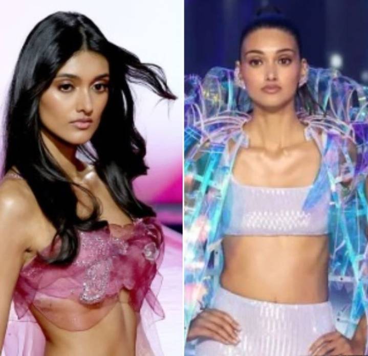 Watch Neelam Gill, model with Punjab roots, make waves at Victoria's Secret Fashion Show