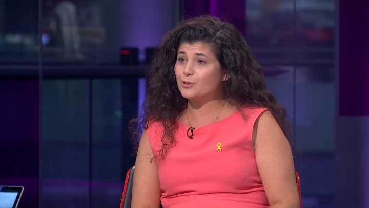 ‘If there is a ceasefire, Israel will respect it’: Israeli minister