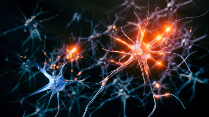 Is consciousness purely a product of the physical brain?