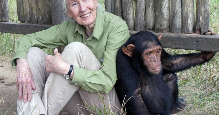 Jane Goodall, who transformed understanding of humankind by studying chimpanzees, dies at 91