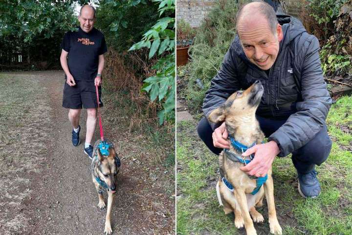 Rescue Dog Who Spent Months Hiding Behind Sofa Finally Goes on Walk (Exclusive)