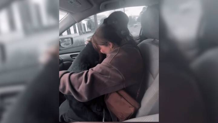 Sweetest Dog From Idaho Was Finally Adopted So He Performed A Sweet Gesture For His New Owners