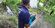 Patrulla verde salva a tortuga y la lleva a liberar