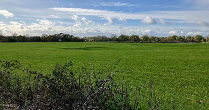 'They won't be happy until they have concreted over everything around here'