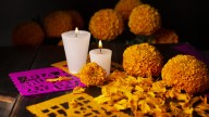 Upcycle Coffee Filters Into Gasp-Worthy Fall Marigolds