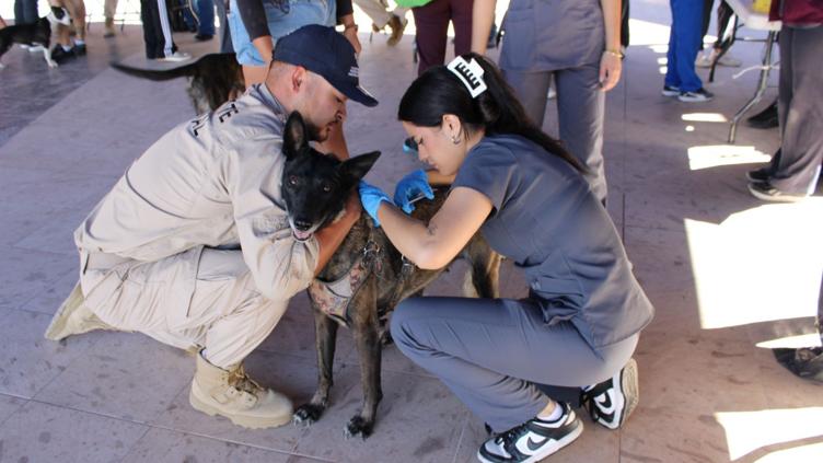 Brindan más de mil servicios de salud a mascotas de Punta Oriente
