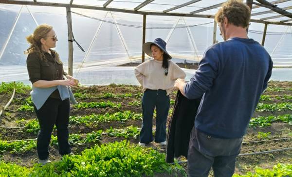 Proyecto hortícola: articulación entre productores locales y la empresa Sueño Verde