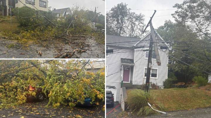 Nor'easter Leaves Hundreds In Dark In HV, Trees, Branches Snapped In Clarkstown