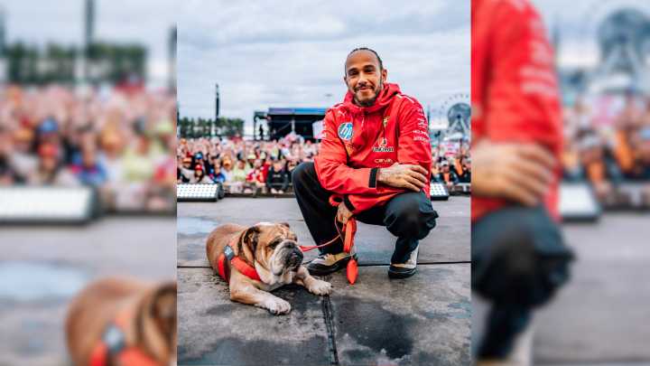 El bulldog Roscoe muere a los 12 años