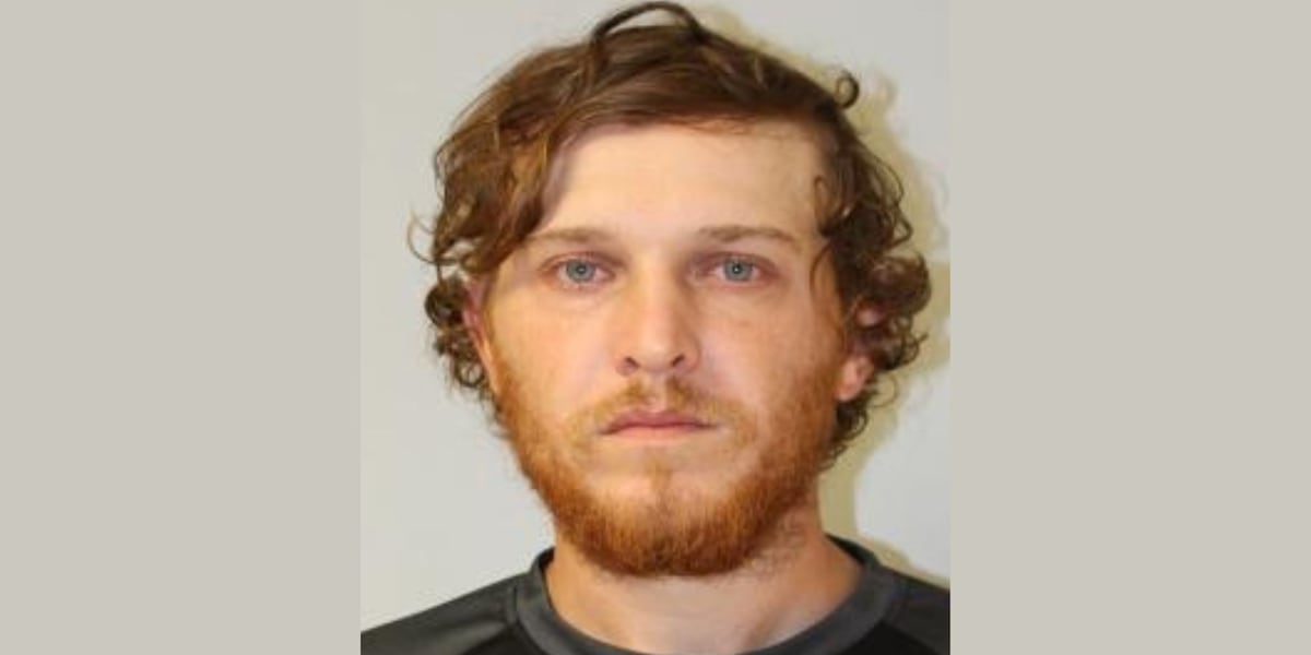 Suspect in deadly hit-and-run granted supervised release