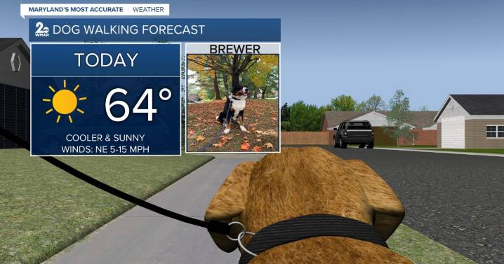 A cooler day filled with sunshine!