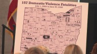 New report finds domestic violence deaths reach 10