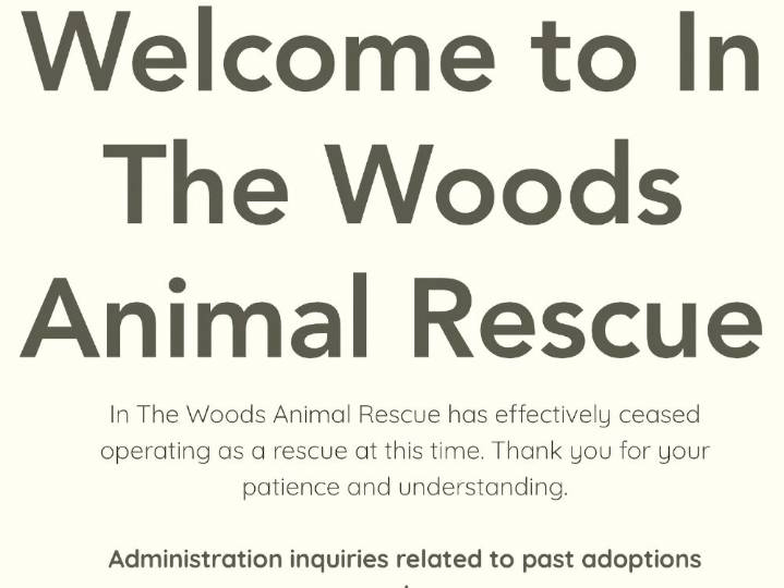 Large scale rescue: nearly 300 animals recovered from shelter