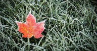 Environment Canada frost advisory weather Hamilton