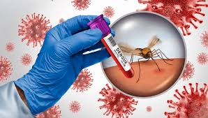 Reaparece el dengue en la zona conurbada