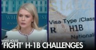 WATCH: White House vows to 'fight' lawsuits over $100,000 H