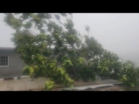Hurricane Melissa winds in Jamaica