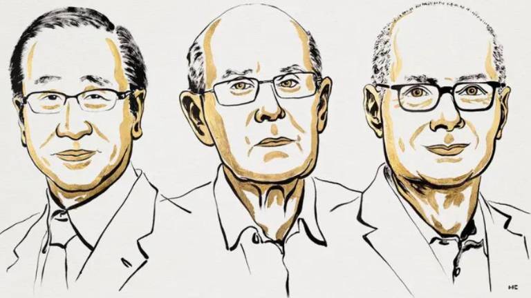 Ganan Nobel de Química 2025 investigadores de estructuras metal
