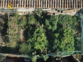 Dos detenidos por cultivar y elaborar marihuana en Arrúbal