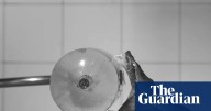 Gone in 60 milliseconds: dramatic slow-motion snake bites reveal clues about how fangs and venom kill prey