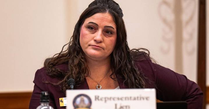 Controversial library materials bill clears final committee vote