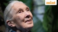 Jane Goodall wanted to ‘send’ Musk, Trump, Putin, Netanyahu into space. Know why