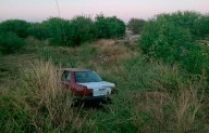 Termina entre maleza auto tras salida de camino en Acuña