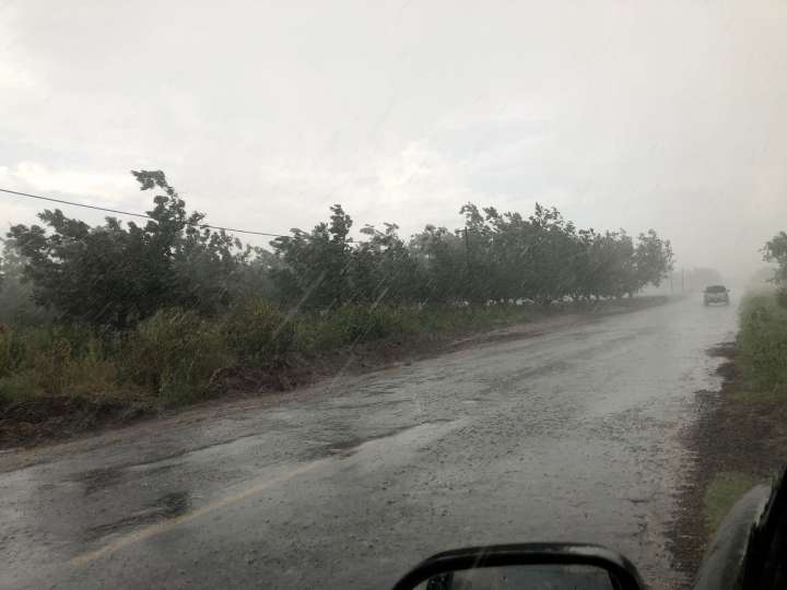 Emite CEPC recomendaciones ante pronóstico de descenso de temperatura, lluvias y vientos fuertes en Chihuahua