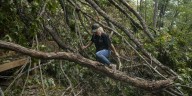 Wildfire risk grows in western North Carolina as gusty winds dry out trees downed by Helene