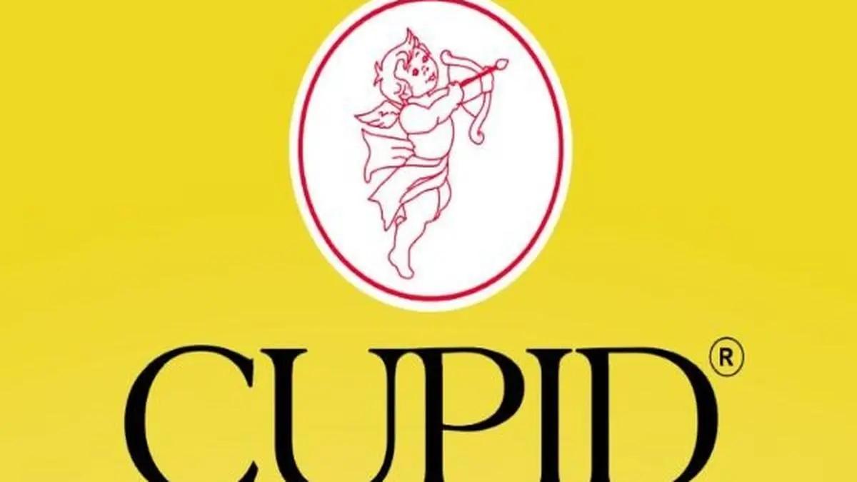 Cupid bags Maharashtra State Exports award