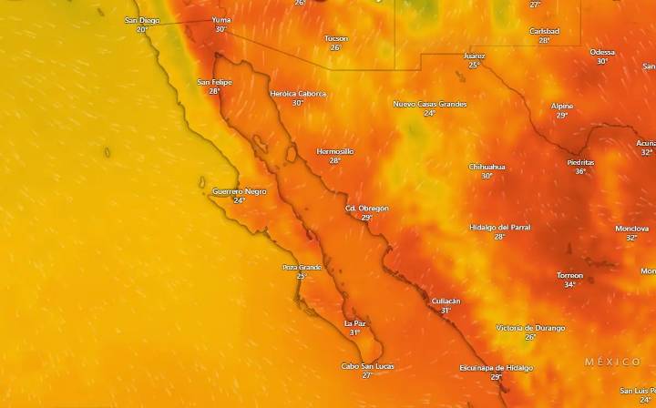 Clima en La Paz y Los Cabos 13 octubre 2025