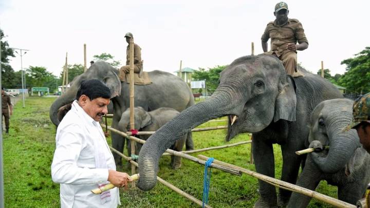 MP CM Mohan Yadav praises Kaziranga’s conservation model, explores collaboration with Assam