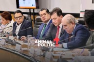 Reforma Electoral modificará representación proporcional pero no la eliminará, dice Pablo Gómez