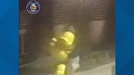 Tempe detective solves $5,000 plaster duck theft