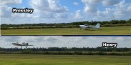 Discovering the Young Eagles of the Suncoast