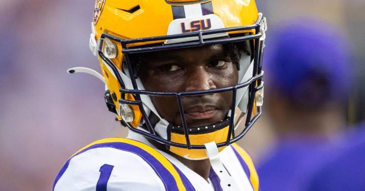 LSU is trying to redshirt a pair of defensive backs this season, Brian Kelly says