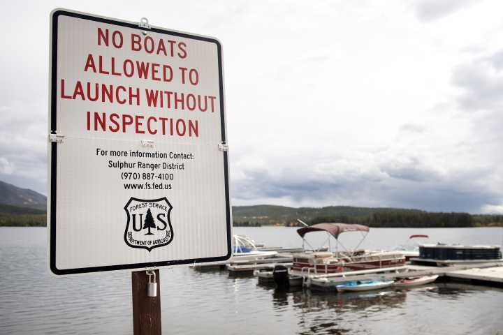 What does Colorado's zebra mussel fight need? Public education