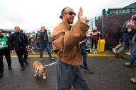 Hamilton agradece «abrumadora» respuesta por muerte de su perro Roscoe