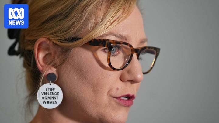 Greens leader Larissa Waters 'doesn't know very much' about wind farm opposed by colleagues
