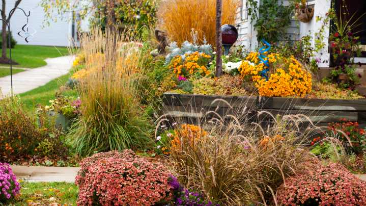 The Gorgeous Hydrangea You'll Want For A Colorful Fall Garden