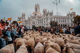 MADRID revive la tradicional Fiesta de la Trashumancia en su 32 edición
